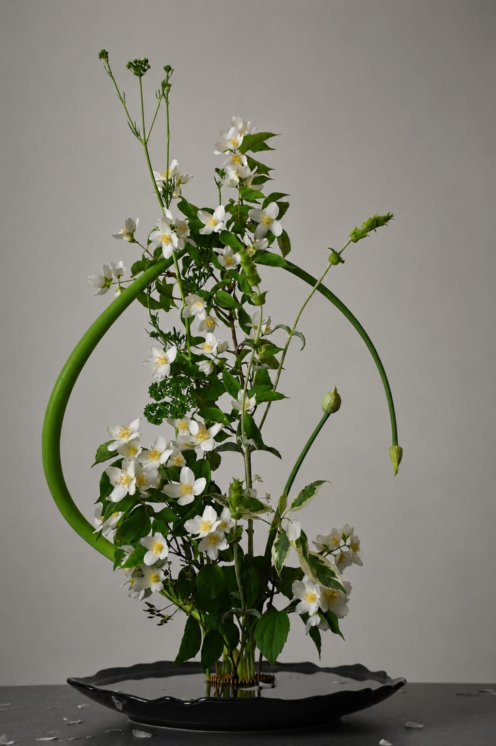 Ikebana-inspirierte Schale mit weißen Blüten und grünen Bögen von Studio Still